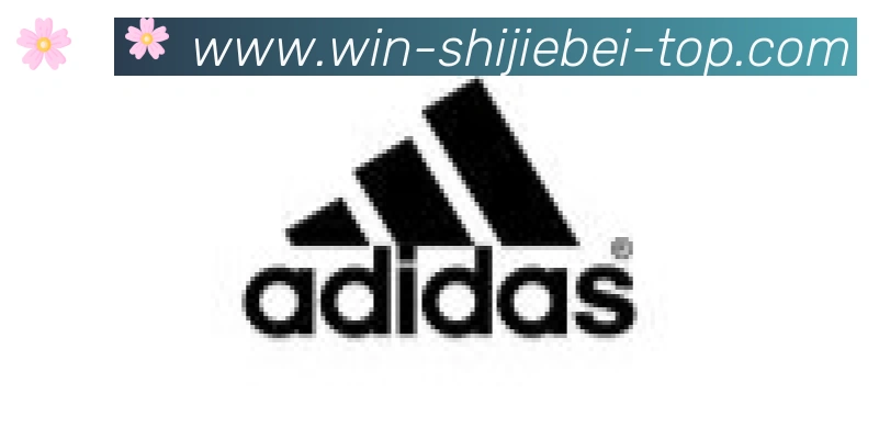世界杯竞猜入口合作伙伴